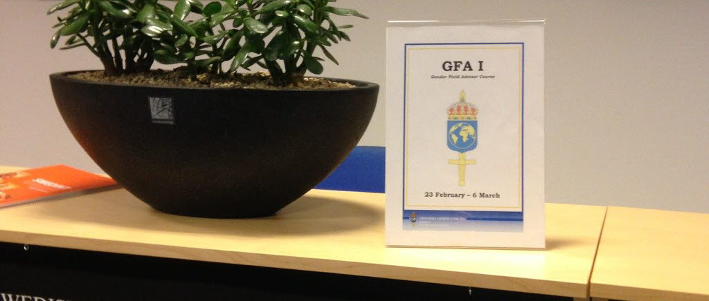 Swedint, NCGM, GFA, Gender Field Adviser Course 2015