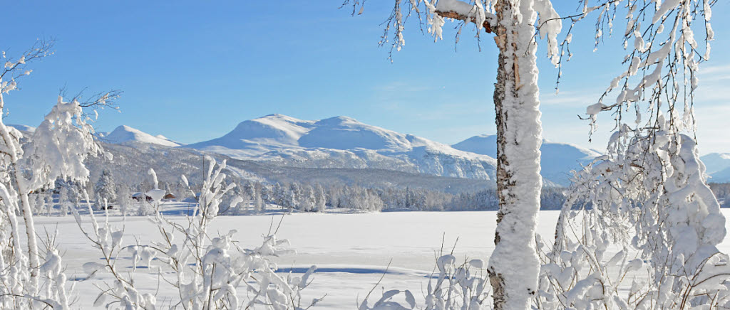 Troms i Norge. En miljö med en alldeles fantastisk natur att både bruka och värna. Cold Response 2014 gästas av 16 000 soldater som kommer att berätta om oförglömliga intryck under sin övning. Övning Cold Response 2014.