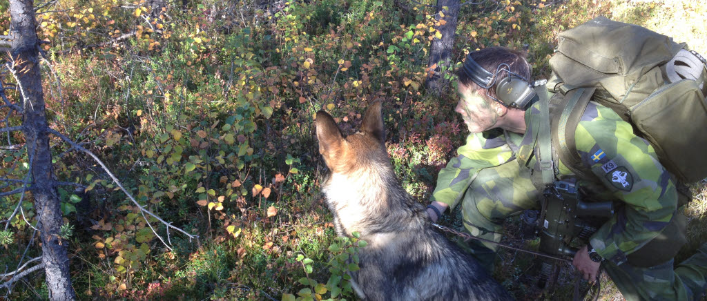 Hundekipage från flygbassäk vid F 21 under övning i Jokkmokk med specialistofficerarutbildningen från FMUndSäkC i Halmstad.