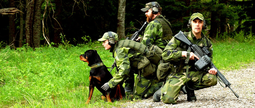 Olle Olssons grupp följer upp ett ljud som hunden hört. 