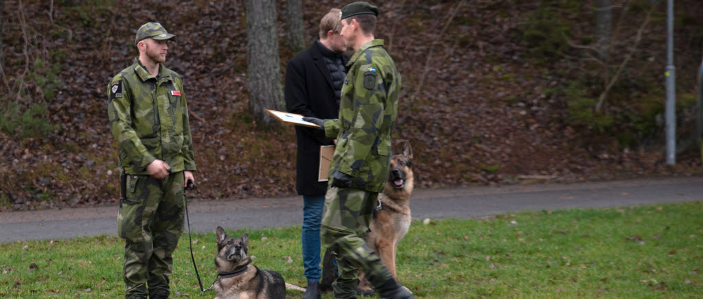 En envis dam får välförtjänt pension och coin.

Hunden FM Gerda har varit tjänstehund inom Försvarsmakten i sju år. Nu går hon i välförtjänt pension och kommer använda sin förträffliga nos till att leta kantareller istället för att söka efter explosiva ämnen. 