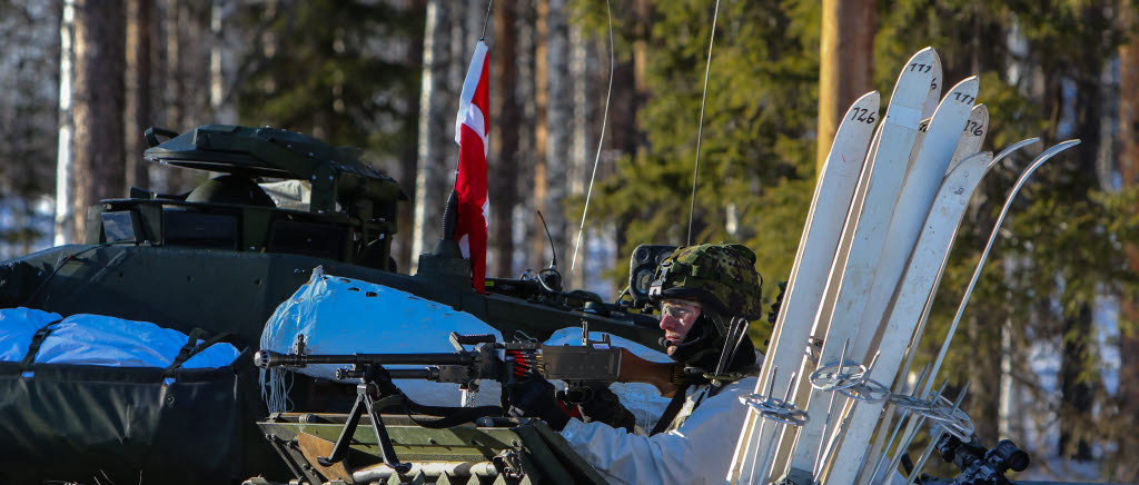 Fiendestyrkan under övning Vintersol är en sammansättning av ett dansk pansarskyttekompani från Jydske dragonregiment och en stridsvagnspluton ur Skaraborgs regemente, P 4.