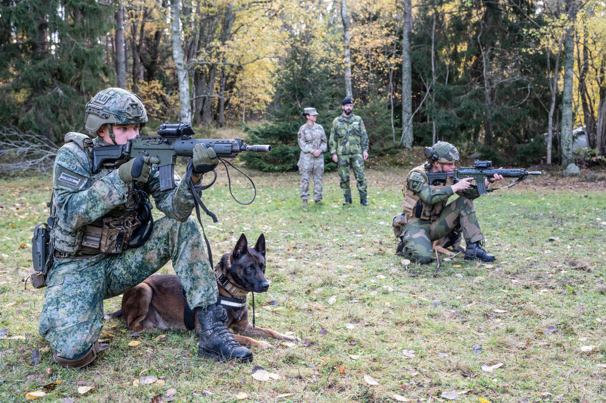 Hundekipage from NATO practiced in Sweden