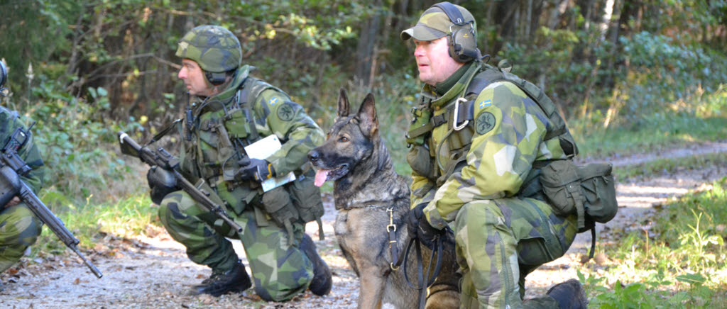 Rikshemvärnschefens insatsövning 2015. Plutonchef Glenn Andersson och hundförare Hans-Ove Klaesson med försvarsmaktshunden Fatty. 