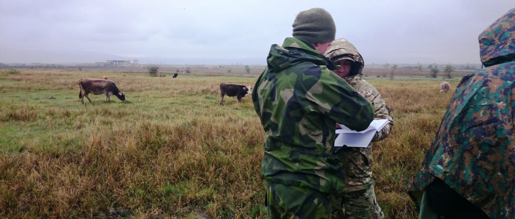 Planering av röjning av oexploderad ammunition, EOD, Georgien  november 2014