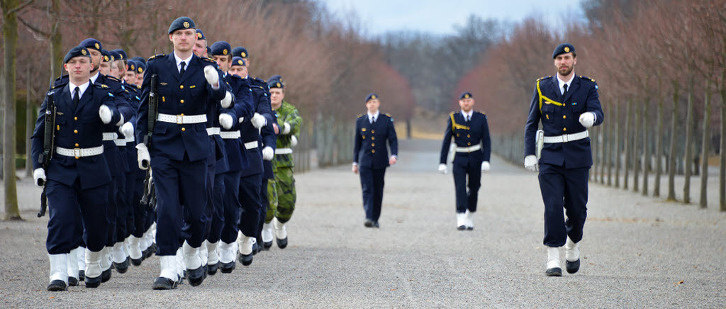 Under vecka 9 och 10 / 2016 gick soldater och befäl ur F 7 högvakt vid Drottningholms slott.