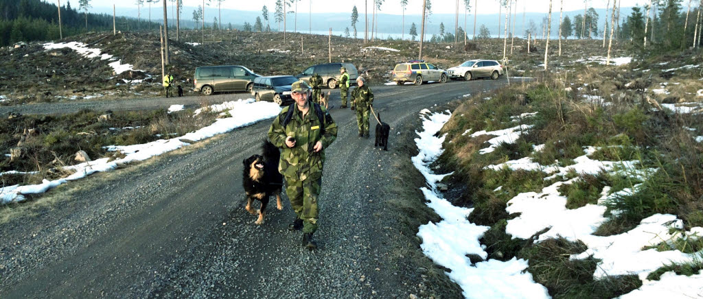 Den eftersökte mannen försvann efter en trafikolycka på en mindre väg.  