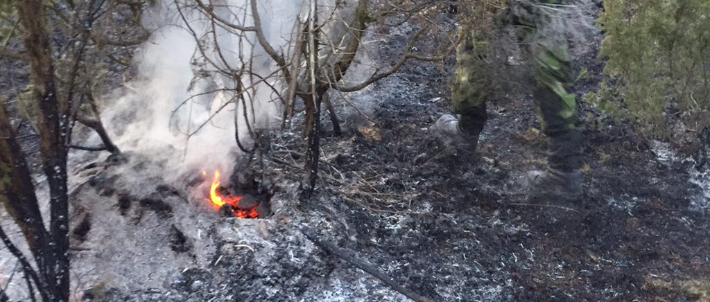 Ett samarbete mellan myndigheterna gjorde att elden var släckt redan under söndagen. Men eftersläckningsarbetet fortsatte