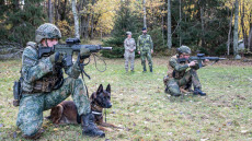 Hundekipage från Nato övade i Sverige