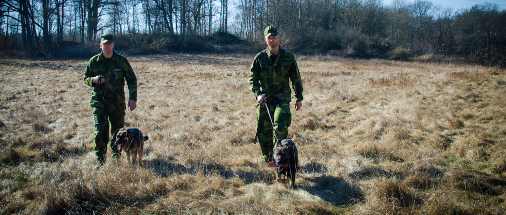 Utbildning validering av tre hundinstruktörer på Basskyddskompaniet, Marinbasen