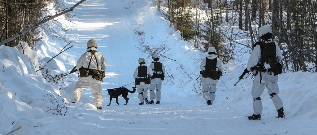 I övningen Vintersol 2015 genomförde Norrbottensbataljonen sin krigsförbandsövning.