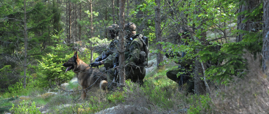 HAGSHULT 20140516. I Flygvapenövning 2014 övar luftstridskrafterna (flygvapnet och luftvärnet) förmågan att hävda och försvara Sveriges territoriella integritet – dvs försvaret av Sverige. Övningen genomförs i södra Sverige mellan 16 och 20 maj dygnet runt. I övningen deltar närmare 3 300 personer. Deltagande förband: Högkvarteret (flygtaktiska staben), Skaraborgs flygflottilj F 7, Blekinge flygflottilj F 17, Norrbottens flygflottilj F 21, Helikopterflottiljen, Luftstridsskolan, Luftvärnsregementet, Ledningsregementet (METOCC och TKSE), Försvarsmaktens logistik, Försvarsmaktens telenät- och markteleförband FMTM, Försvarsmaktens tekniska skola FMTS (1.Tekbat) och Hemvärnet. Dessutom medverkar specialflyg från Saab. Under perioden pågår den bilaterala (Sverige och Finland) marina övningen Swefinex 14. Flygvapenövning 2014 är en försvarsmaktsgemensam övning med marinen där Högkvarteret (marintaktiska staben), Första ubåtsflottiljen, tredje stjöstridsflottiljen, fjärde sjöstridsflottiljen, Marinbasen och Sjöstridsskolan medverkar. 