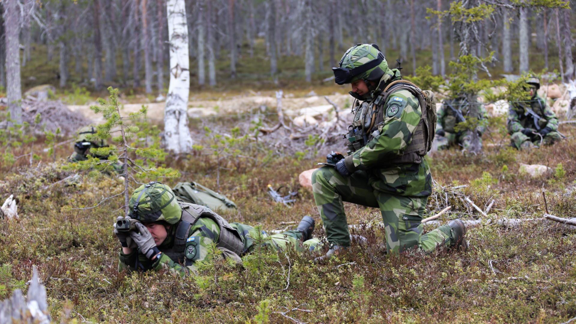 Fortsatt Finskt-svenskt Samarbete - Försvarsmakten