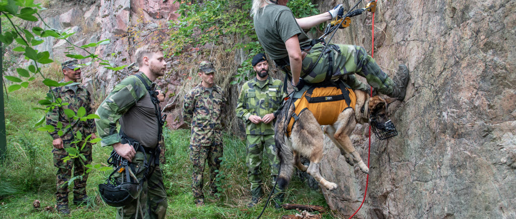 FHTE besöktes av schweiziska kollegor