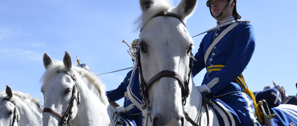 Förberedelser inför den beridna vaktparaden på kavallerikasern i Stockholm.