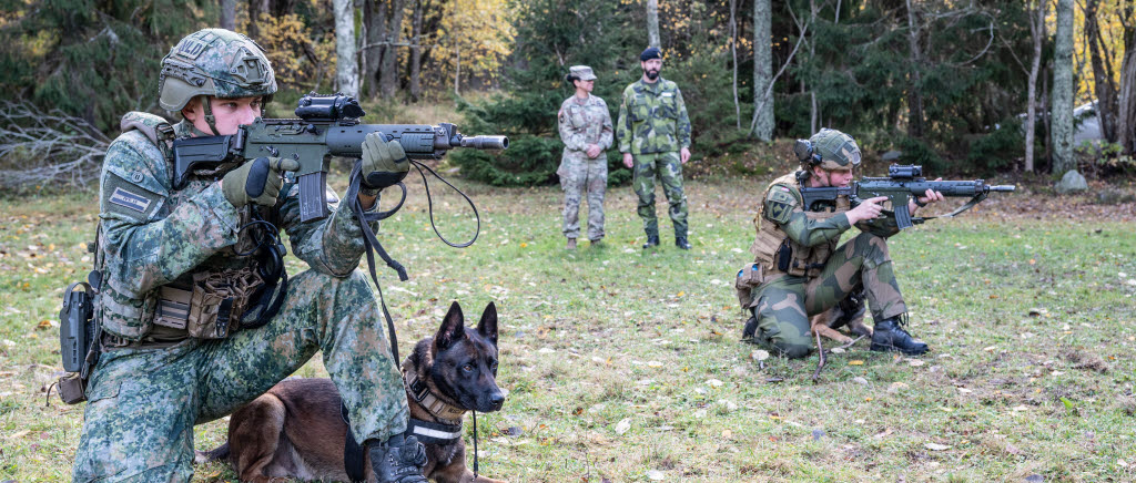 Hundekipage från Nato övade i Sverige