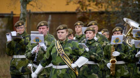 Viktig Symbol Borgar För En Säker Framtid - Försvarsmakten