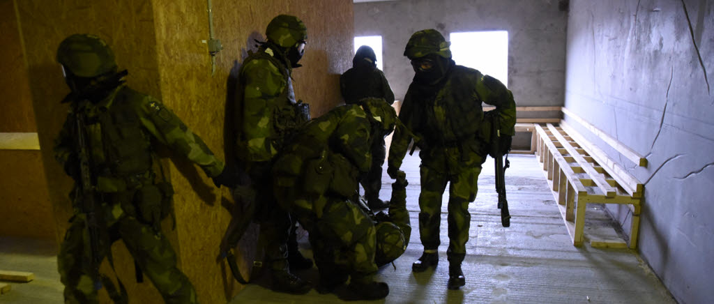 Officerare ur Livgardet under infanteridagen 2015.