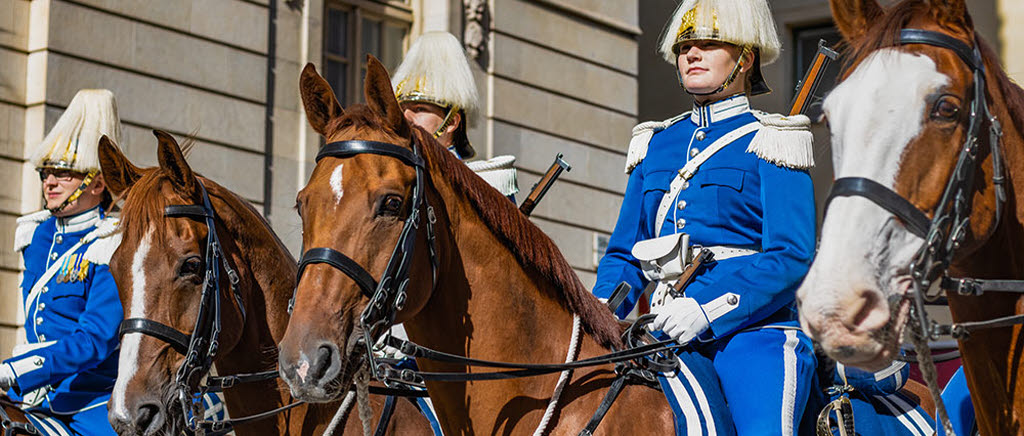 bruna hästar ridna av soldater i blå uniform 