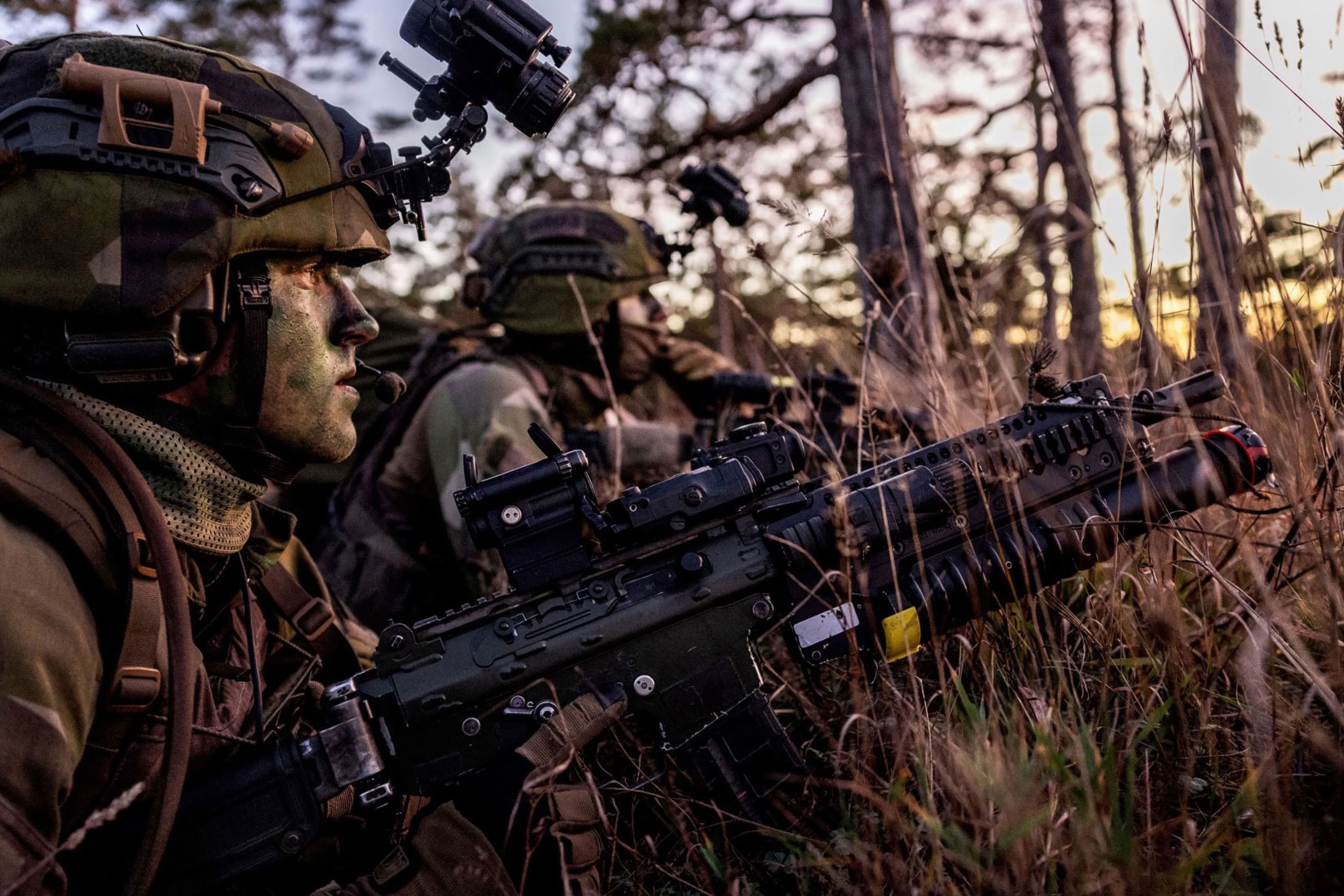Soldater som spanar vid en skogsdunge i skymning under övningen Adamant Serpent.