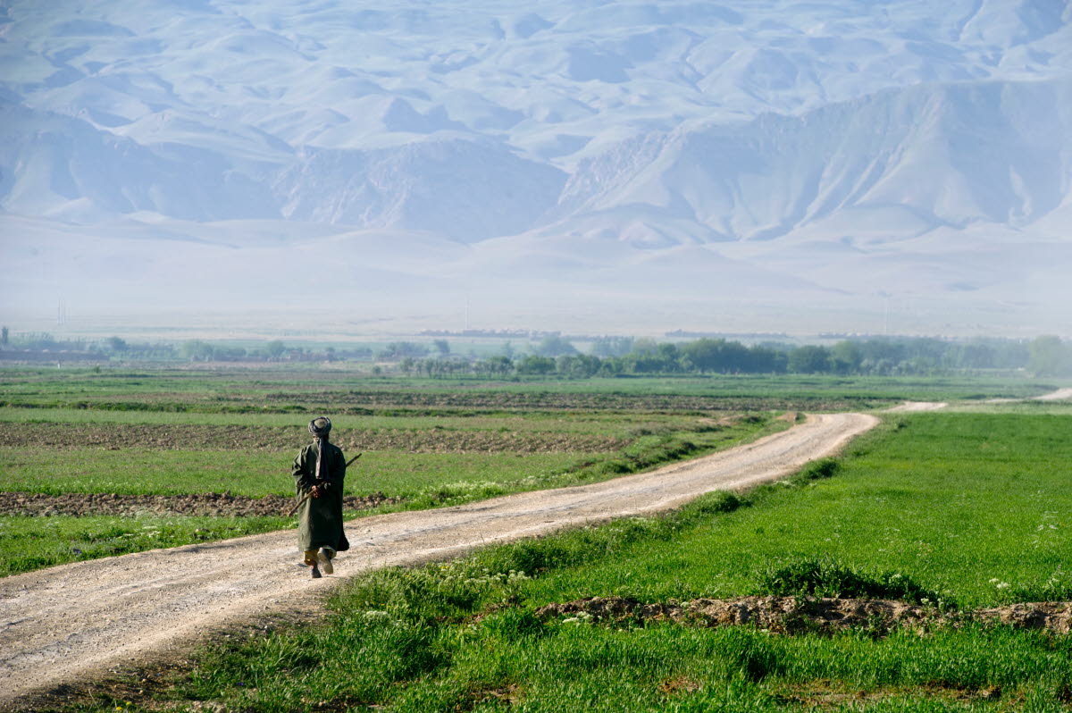 Afghanistan - Unama - Försvarsmakten